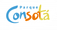 logo consota