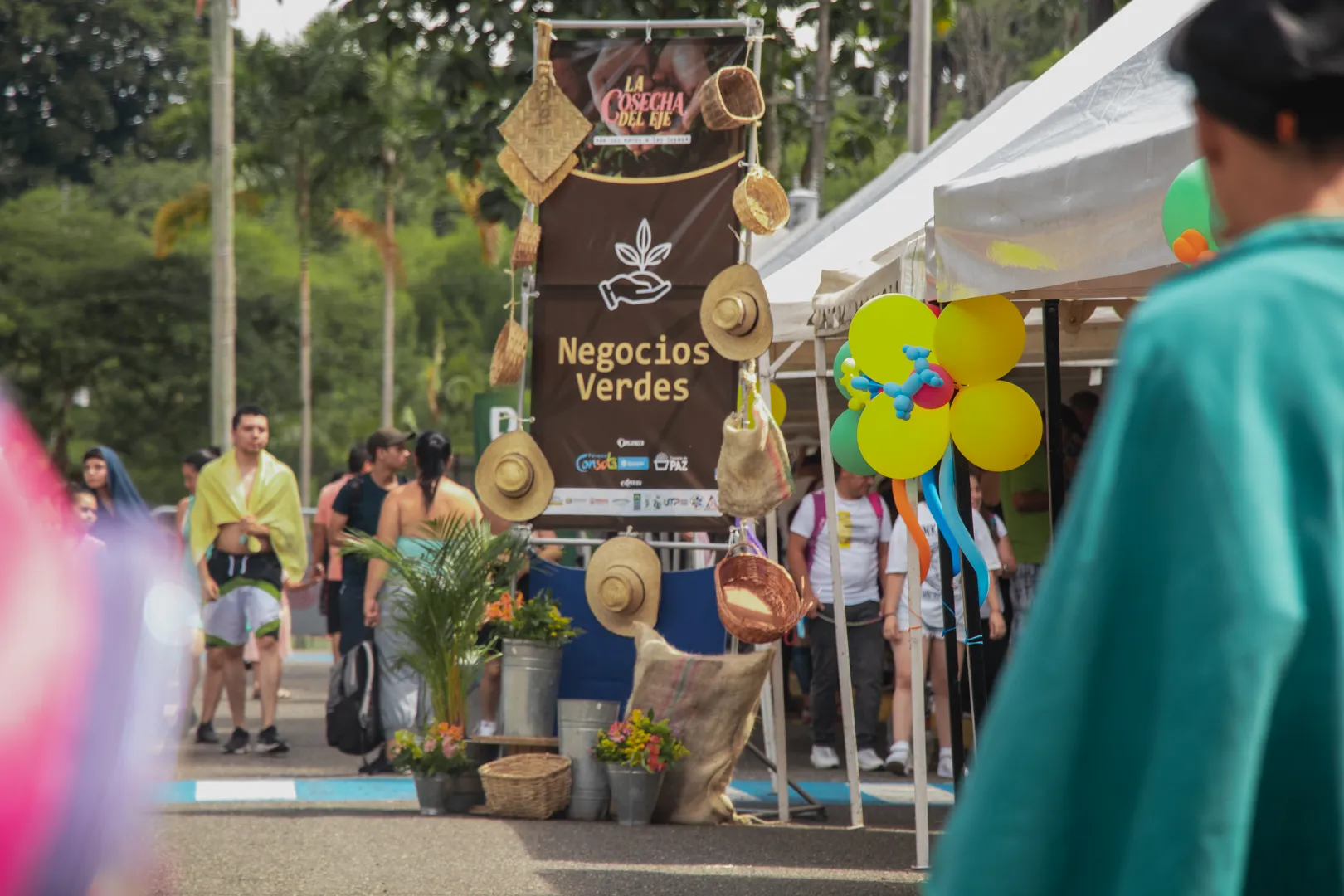 LLEGA LA TERCERA VERSIÓN DE LA COSECHA DEL EJE AL PARQUE CONSOTÁ