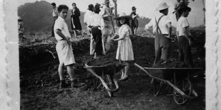 EXPOSICIÓN: La Sociedad de Mejoras de Pereira ProRisaralda, un siglo en la historia de la ciudad.
