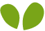 https://www.comfamiliar.com/granjadenoe/wp-content/uploads/sites/30/2022/04/green_leaf.png