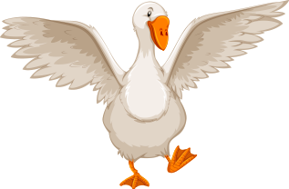 https://www.comfamiliar.com/granjadenoe/wp-content/uploads/sites/30/2023/08/gansosimg.png