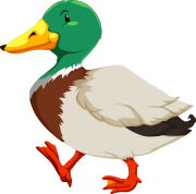https://www.comfamiliar.com/granjadenoe/wp-content/uploads/sites/30/2023/08/patosimg.png