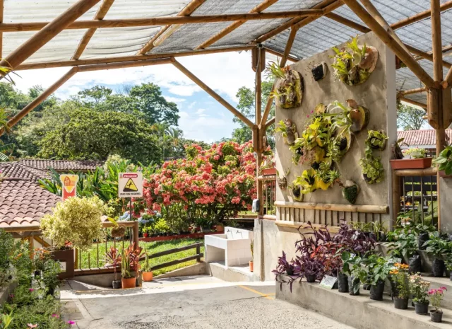 https://www.comfamiliar.com/granjadenoe/wp-content/uploads/sites/30/2024/01/Vivero-640x465.webp