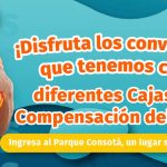 Banner web- Cajas sin fronteras (AV) – 1