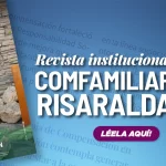 revista